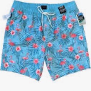 Valour collective swim boys large flamingos swim shorts